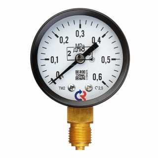 Манометр РОСМА ТМ-210Р 50 мм (1/4, 0-6 бар) радиальный КТ 2,5